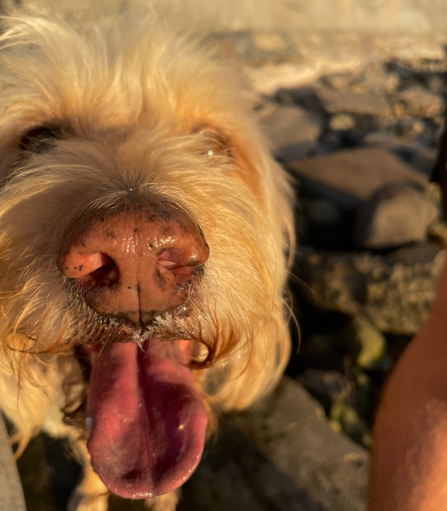 socialique.co about page image 12