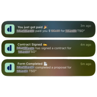 Socilaique.co Home page Image 3